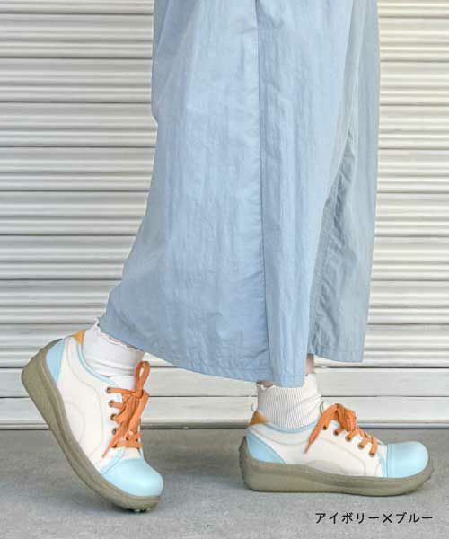 カラフルポルカ WX00110D